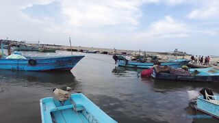 The Fishing Village Of El Max в Alexandria, Egypt как там живут и что продают утром