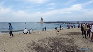 The Fishing Village Of El Max в Alexandria, Egypt как там живут и что продают утром