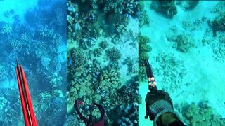 Египет - подводная охота. Морская рыбалка в Egypt с ружьем, что добыли?