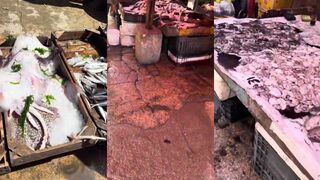 Alexandria Египет: утренний рынок и свежая рыба что берут местные