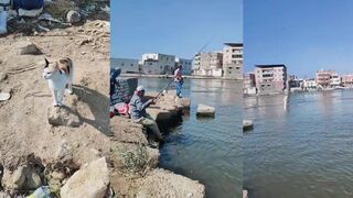 صيد القاروص الصغير من المعدية بالإسكندرية, какая снасть дает больше поклевок