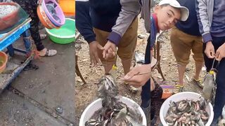 Alexandria: странные способы ловли, которые реально работают?