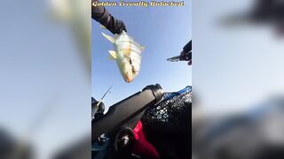 Golden Trevally на каяке в Doha Qatar как не слить рыбу у борта