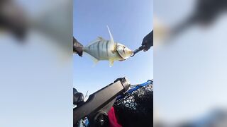 Golden Trevally на каяке в Doha Qatar как не слить рыбу у борта