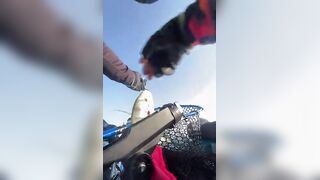 Golden Trevally на каяке в Doha Qatar как не слить рыбу у борта