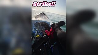 Golden Trevally на каяке в Doha Qatar как не слить рыбу у борта