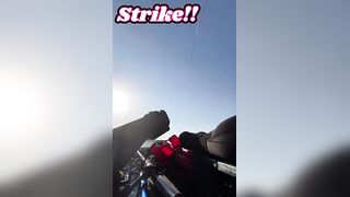 Golden Trevally на каяке в Doha Qatar как не слить рыбу у борта