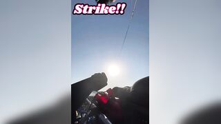 Golden Trevally на каяке в Doha Qatar как не слить рыбу у борта