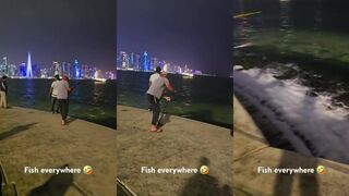 Doha / Доха, Qatar - береговая рыбалка. Морская рыбалка в Doha и что по клеву?