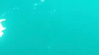 Trevally в Doha на донку - морская рыбалка на глубине без лишних слов