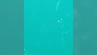 Trevally в Doha на донку - морская рыбалка на глубине без лишних слов