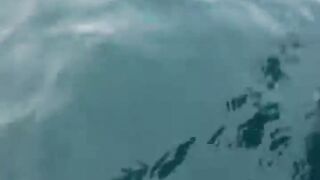 Trevally в Doha на донку - морская рыбалка на глубине без лишних слов