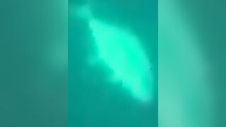 Trevally в Doha на донку - морская рыбалка на глубине без лишних слов