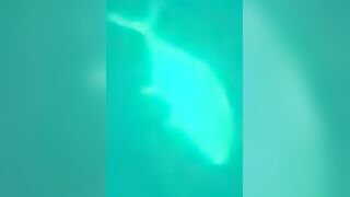 Trevally в Doha на донку - морская рыбалка на глубине без лишних слов