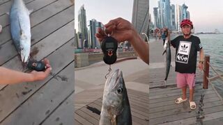 Corniche Doha Qatar, kingfish на берегу и быстрые поклевки