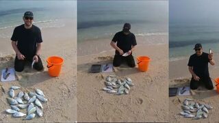 Qatar ловля silver bream шعم с берега и простая тактика