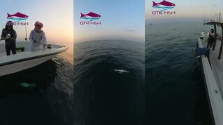 Катар: морская рыбалка в/на قطر, كنعد на живца и жёсткий вываж