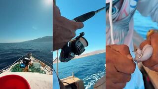 Трофейная рыбалка в шарм Эль шейхе