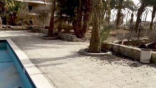 Семейная морская рыбалка в Египте, сняли яхту и вышли на воду