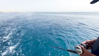 Семейная морская рыбалка в Египте, сняли яхту и вышли на воду