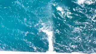 Семейная морская рыбалка в Египте, сняли яхту и вышли на воду