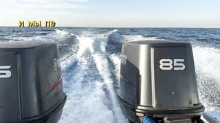 Рыбалка в Египте, первый раз не зашел, потом реабилитация в Hurghada