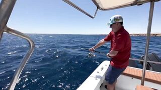 Рыбалка в Египте, первый раз не зашел, потом реабилитация в Hurghada