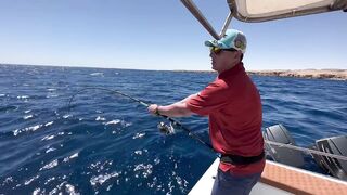 Рыбалка в Египте, первый раз не зашел, потом реабилитация в Hurghada