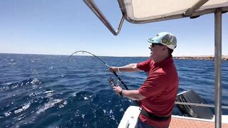 Рыбалка в Египте, первый раз не зашел, потом реабилитация в Hurghada