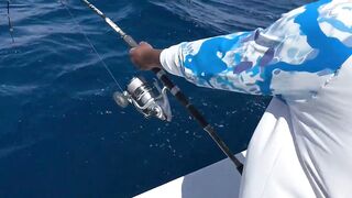 Рыбалка в Египте, первый раз не зашел, потом реабилитация в Hurghada