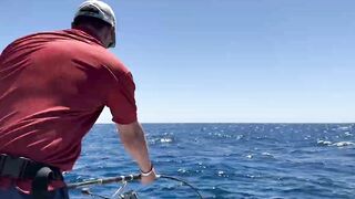 Рыбалка в Египте, первый раз не зашел, потом реабилитация в Hurghada