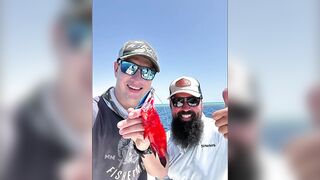 Рыбалка в Египте, первый раз не зашел, потом реабилитация в Hurghada