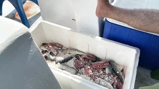 شرم الشيخ Шарм эль Шейх - первая поездка на ловлю и я был в шоке от клева