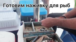 شرم الشيخ Шарм эль Шейх - первая поездка на ловлю и я был в шоке от клева