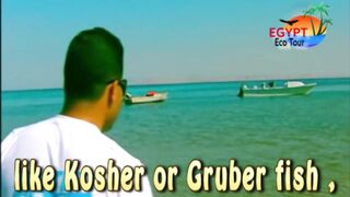 الصيد فى محمية نبق Nabq рядом с Sharm El Sheikh что можно ловить по правилам