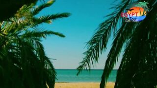 الصيد فى محمية نبق Nabq рядом с Sharm El Sheikh что можно ловить по правилам