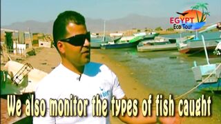 الصيد فى محمية نبق Nabq рядом с Sharm El Sheikh что можно ловить по правилам