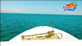 الصيد فى محمية نبق Nabq рядом с Sharm El Sheikh что можно ловить по правилам