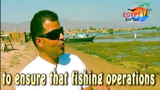 الصيد فى محمية نبق Nabq рядом с Sharm El Sheikh что можно ловить по правилам