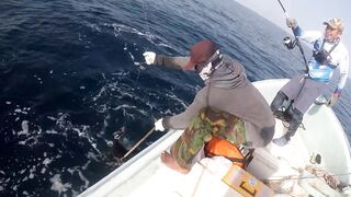 морская рыбалка в Oman перетяг с yellowfin tuna и Shimano Stella SW14K в деле