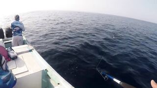 морская рыбалка в Oman перетяг с yellowfin tuna и Shimano Stella SW14K в деле
