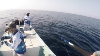 морская рыбалка в Oman перетяг с yellowfin tuna и Shimano Stella SW14K в деле