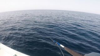морская рыбалка в Oman перетяг с yellowfin tuna и Shimano Stella SW14K в деле