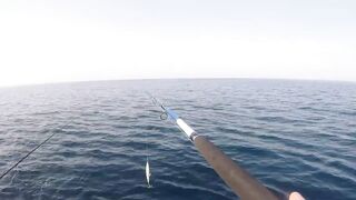 морская рыбалка в Oman перетяг с yellowfin tuna и Shimano Stella SW14K в деле