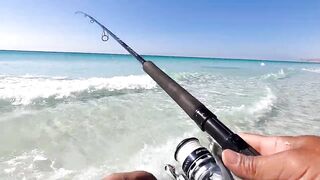 Long Beach Fishing in Oman blue fish на Saragosa 6000 и Major Craft Tripple Cross