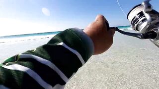 Long Beach Fishing in Oman blue fish на Saragosa 6000 и Major Craft Tripple Cross