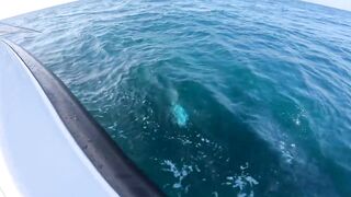 Лучший выезд года в No Boundaries Oman - что сделали правильно