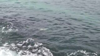 Лучший выезд года в No Boundaries Oman - что сделали правильно