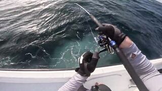 Лучший выезд года в No Boundaries Oman - что сделали правильно