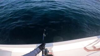 Лучший выезд года в No Boundaries Oman - что сделали правильно